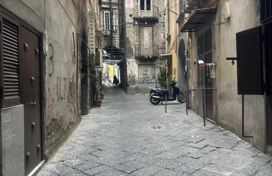 Civico Antico-1